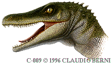 C-009.gif