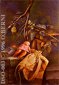 DSO-003