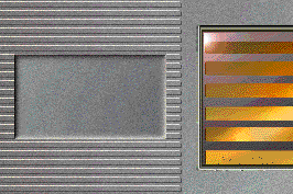 digicard